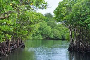 Bocas del Toro