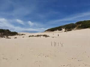 Playa de Bolonia