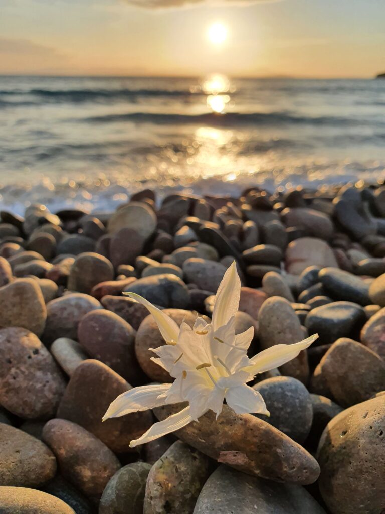 mejores playas de Cerdeña