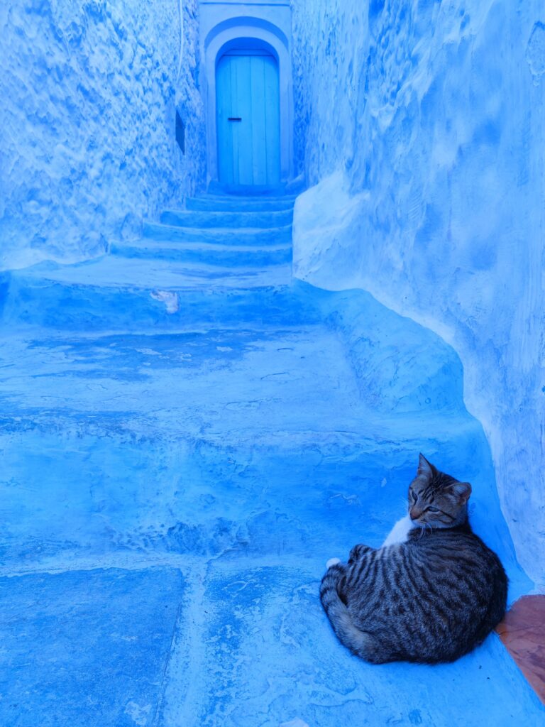 Qué ver en Chefchaouen